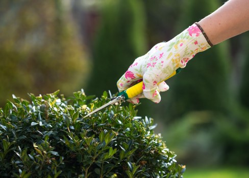 Gardeners Bounds Green modern slavery prevention statement introduction