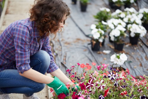 Garden maintenance in Bounds Green with healthy planting