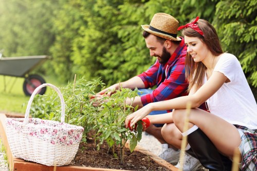 Professional landscaping in Bounds Green for a modern back garden