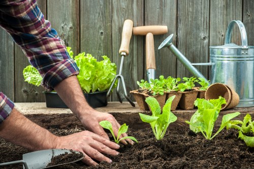 Garden maintenance in Bounds Green with neat lawn and borders