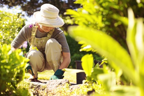 Overgrown garden clearance and restoration in Bounds Green