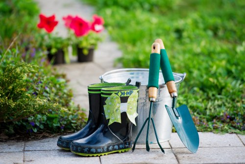 Healthy residential lawn care in Bounds Green garden