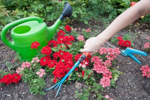 Landscape improvement and lawn care by Bounds Green gardeners