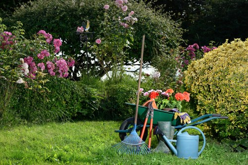 Overgrown garden clearance in Bounds Green with green waste removal