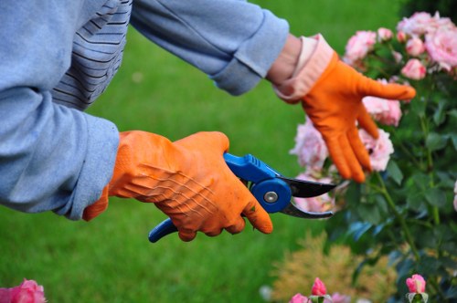 Professional garden clearance work in a Bounds Green outdoor space