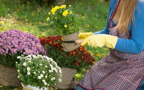 Trusted local gardening team caring for a Bounds Green outdoor space