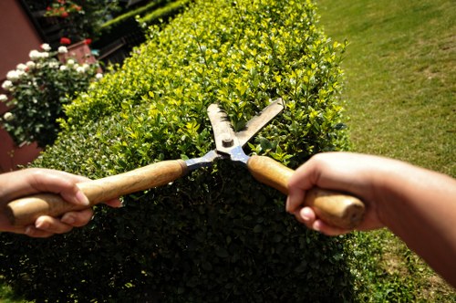 Annual review of anti-slavery controls for Gardeners Bounds Green
