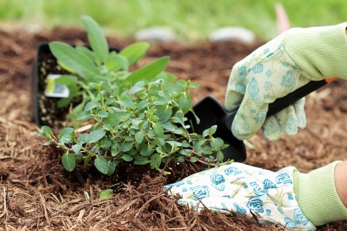 Illustration of a gardener reviewing a service complaint