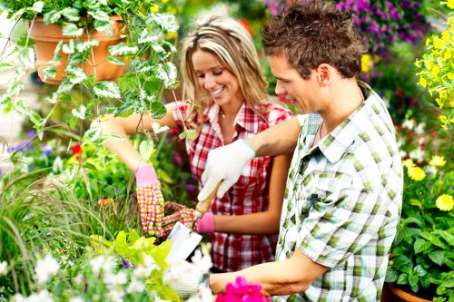 Professional gardener improving a Bounds Green garden