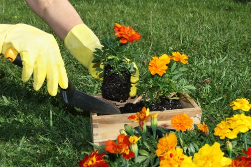 Image representing screen-reader friendly garden service content