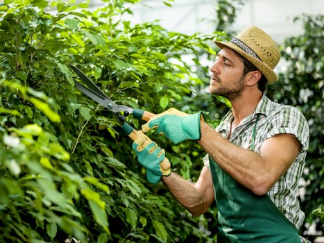 Trained gardener using equipment with proper safety checks