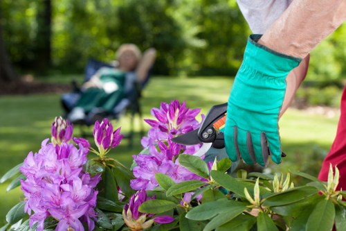 Local transfer station handling green waste and recyclable materials