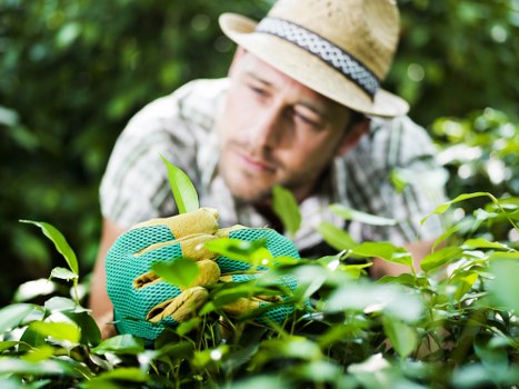 Transparent gardening rates for properties in Bounds Green