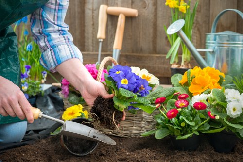 Professional hedge maintenance for a front garden in Bounds Green