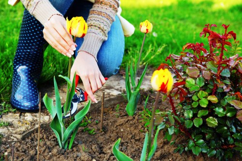 Staff training for safe gardening practices in Bounds Green