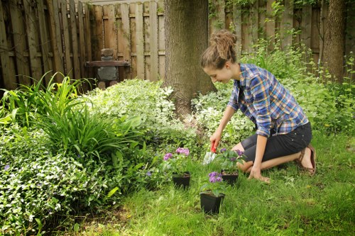 Free quote process for a busy residential garden in Bounds Green