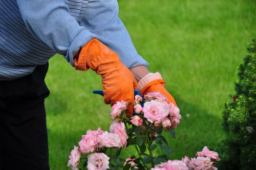 Local garden maintenance and hedge care in Bounds Green
