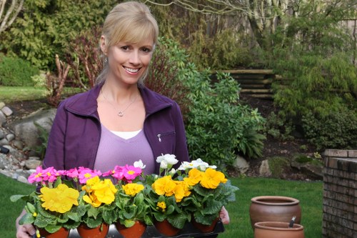 Visual showing a professional handling a gardening issue