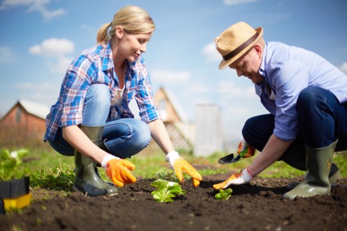 Supplier due diligence and labour standards review at Gardeners Bounds Green