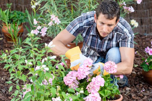 Garden edging and grass cutting in a Bounds Green outdoor space