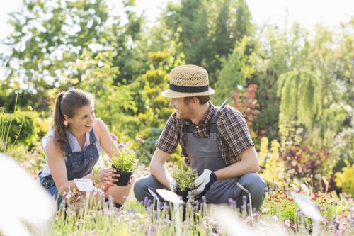 Seasonal garden care in Bounds Green outdoor space