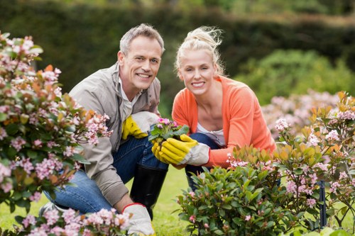 Example garden clearance pricing for a terrace home in Bounds Green