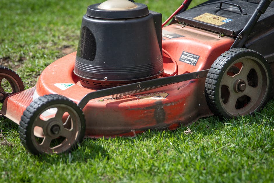 Close-up view of a well-maintained lawn with lush, bright green grass exhibiting a mixture of clipped and slightly longer blades, set against a backdrop of shaded and sunlit areas. The grass appears h