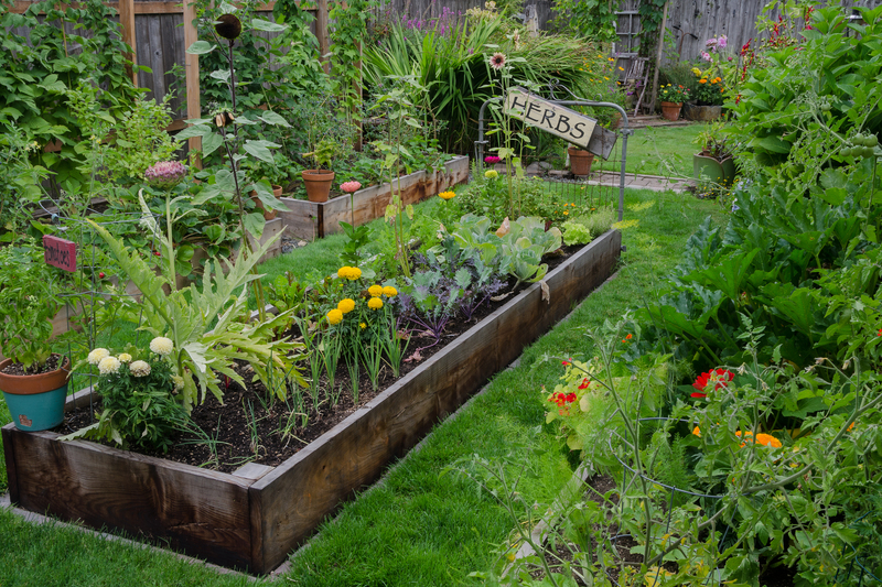garden design landscape design