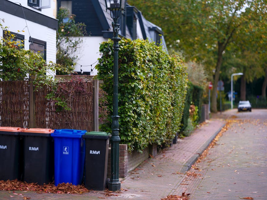 A quiet residential street lined with a neatly trimmed hedge running along the sidewalk, which is paved with brick and slightly curved. Several large wheeled bins, including black, blue, and green, ar